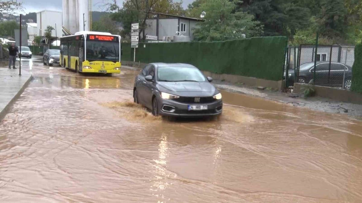 IMG_2689.jpeg